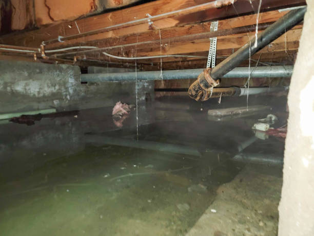 Fire Damage Restoration in HI