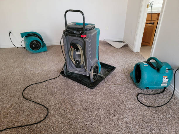 Best Water damage restoration near me  in Fern Acres, HI