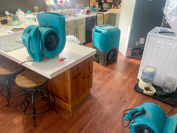 24/7 water damage repair in HI