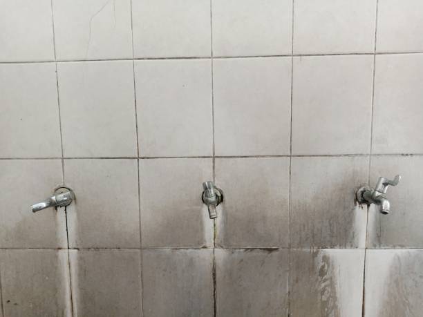 Best Carpet water damage restoration  in Fern Acres, HI