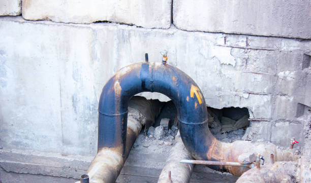 Best Fire Damage Restoration  in Fern Acres, HI